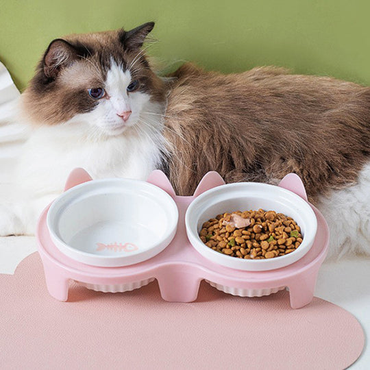 Ceramic Double Bowl
