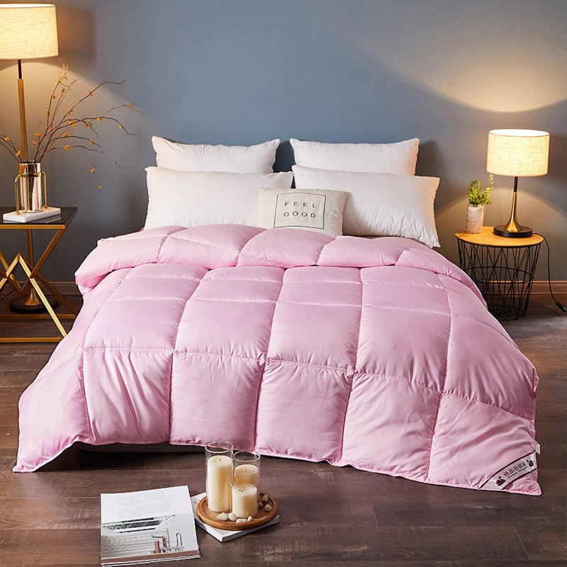 Goose Down Duvet Core, Air Conditioner