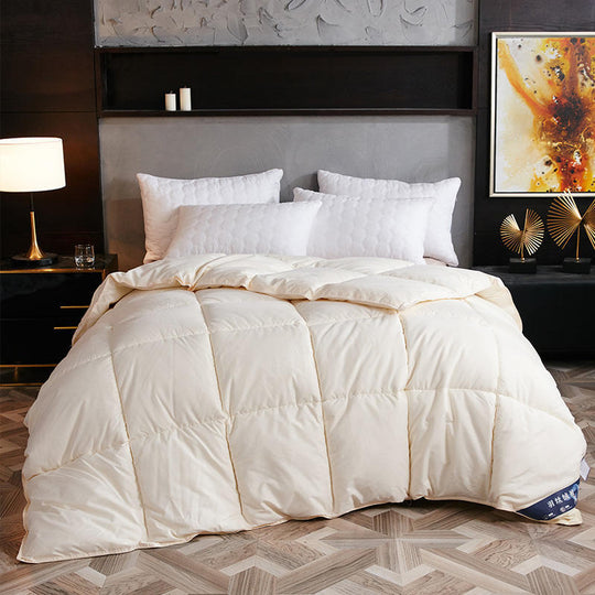 Goose Down Duvet Core, Air Conditioner