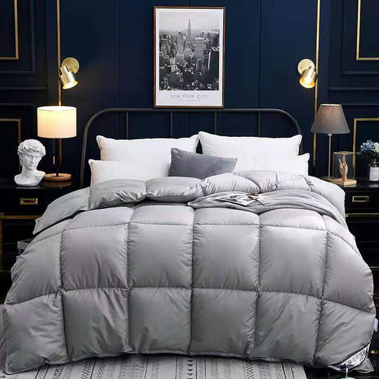 Goose Down Duvet Core, Air Conditioner